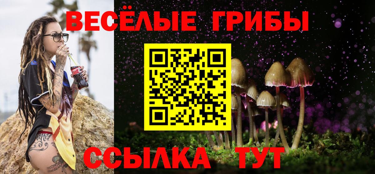 Галлюциногенные грибы Magic Shrooms Коркино