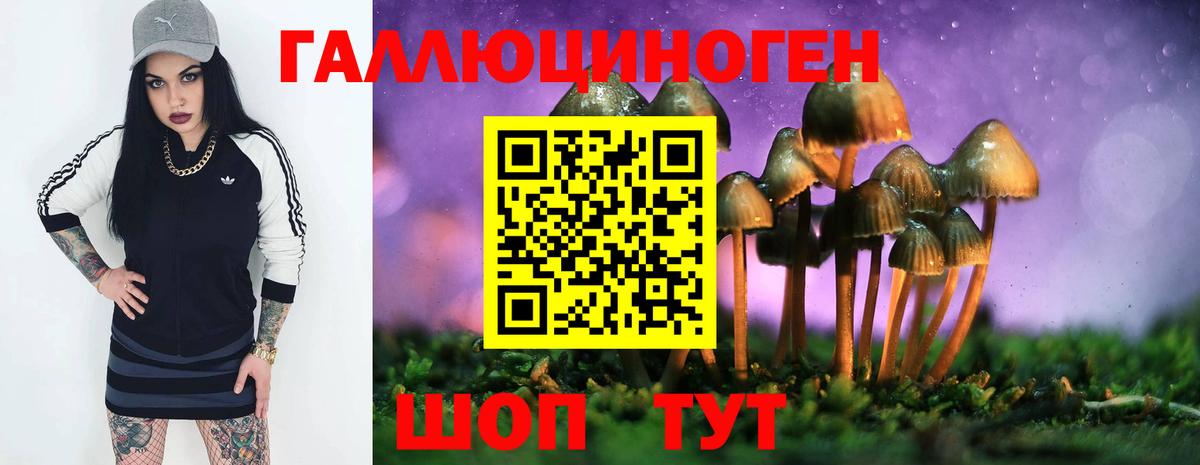 Коркино  Псилоцибиновые грибы прущие грибы  Вход с VPN 
